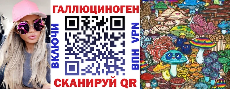 Псилоцибиновые грибы Psilocybine cubensis  купить  сайты  Бийск 
